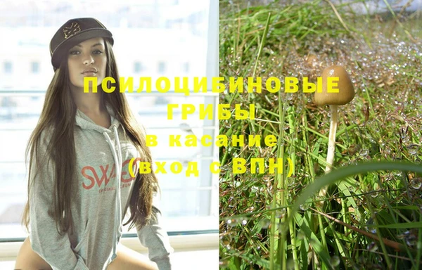 прущая мука Абаза