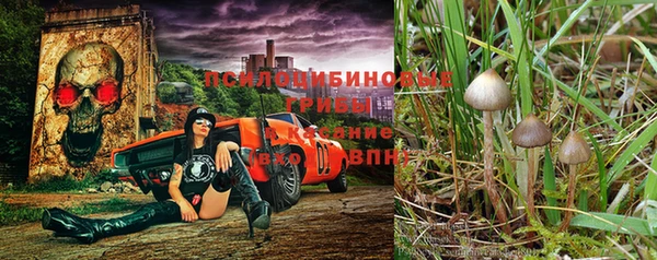 каннабис Алексин