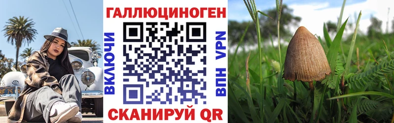 Псилоцибиновые грибы ЛСД где купить наркоту Миллерово